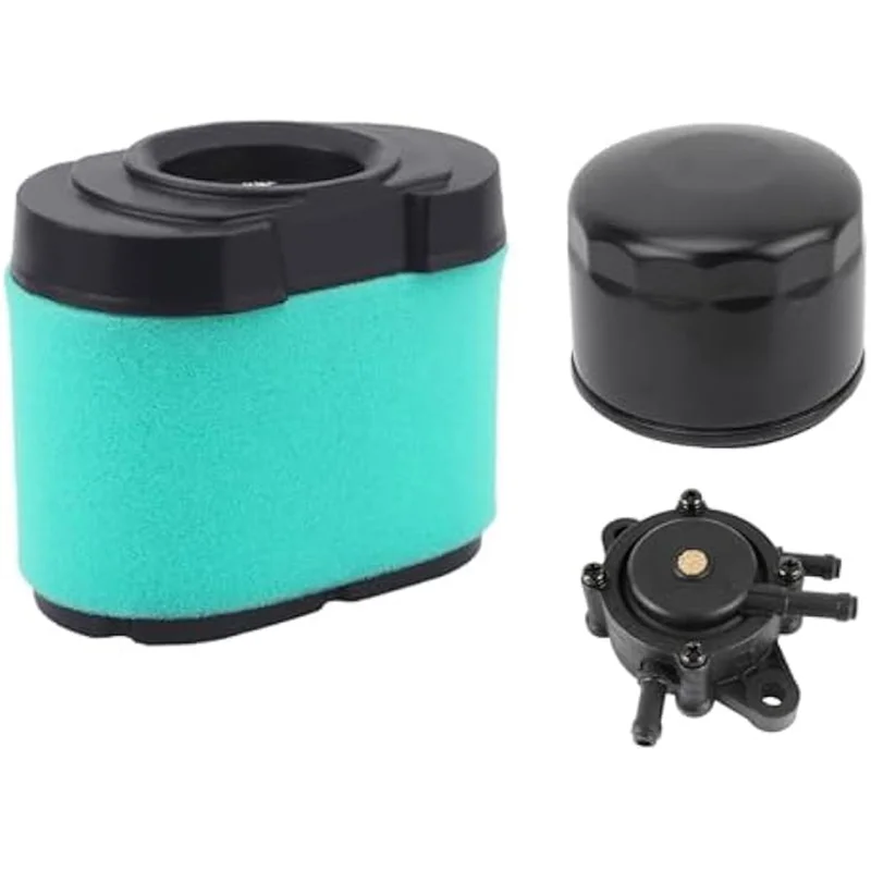 Kit filtro aire y aceite con cubierta Briggs Stratton 407000 40H000 - imagen 2