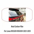 Real Carbon Fibe