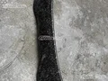Locomotive carbon
