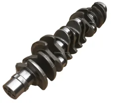 OEM 1005020 cigüeñal para motor BFM1013