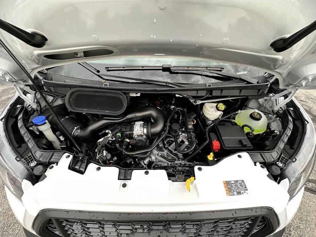 Amortiguador capó fibra carbono Ford Transit Custom 2023-2025
