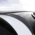 Carbon Surface