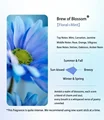 Brew of Blossom