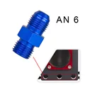 AN6