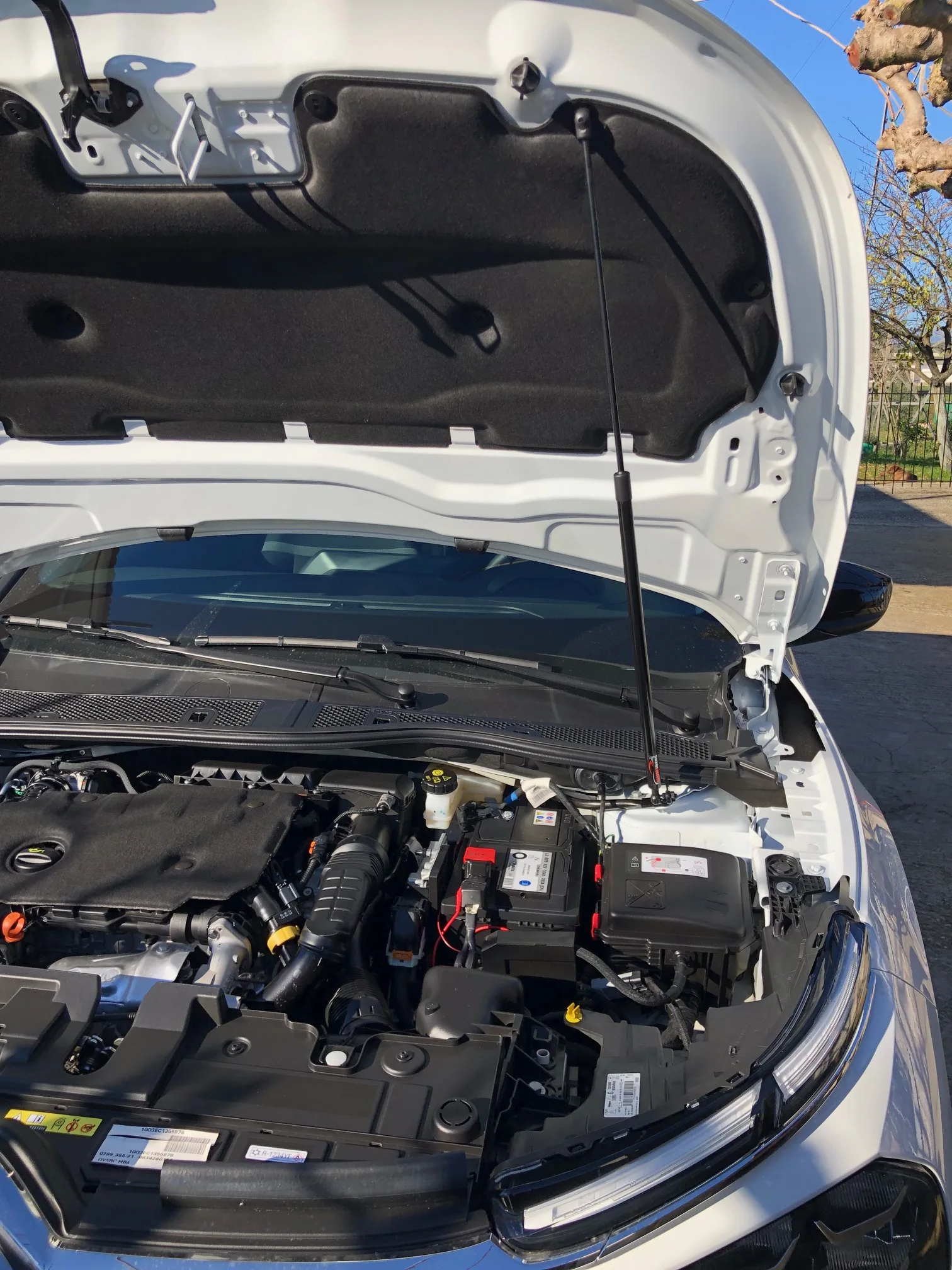 Amortiguador de gas para capó Citroën C4 III 2020-2023 - imagen 3
