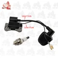 Spark Plug Coilblack