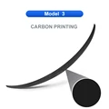 3 Carbon Printing