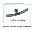 Roof Carbon Look