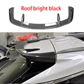 Roof bright black