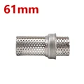 Type I