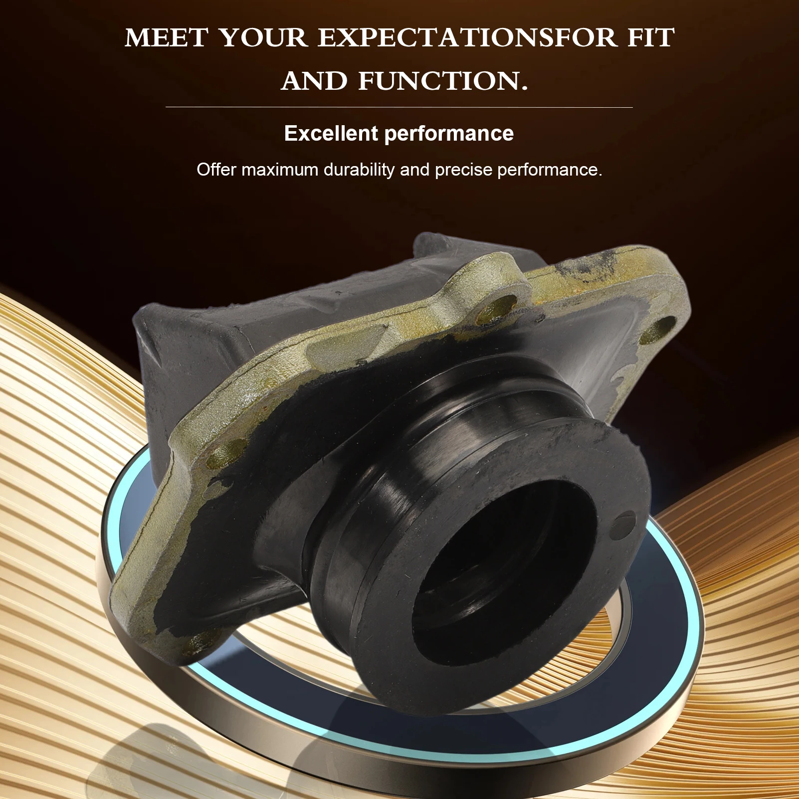 Vista interna del colector de admisión