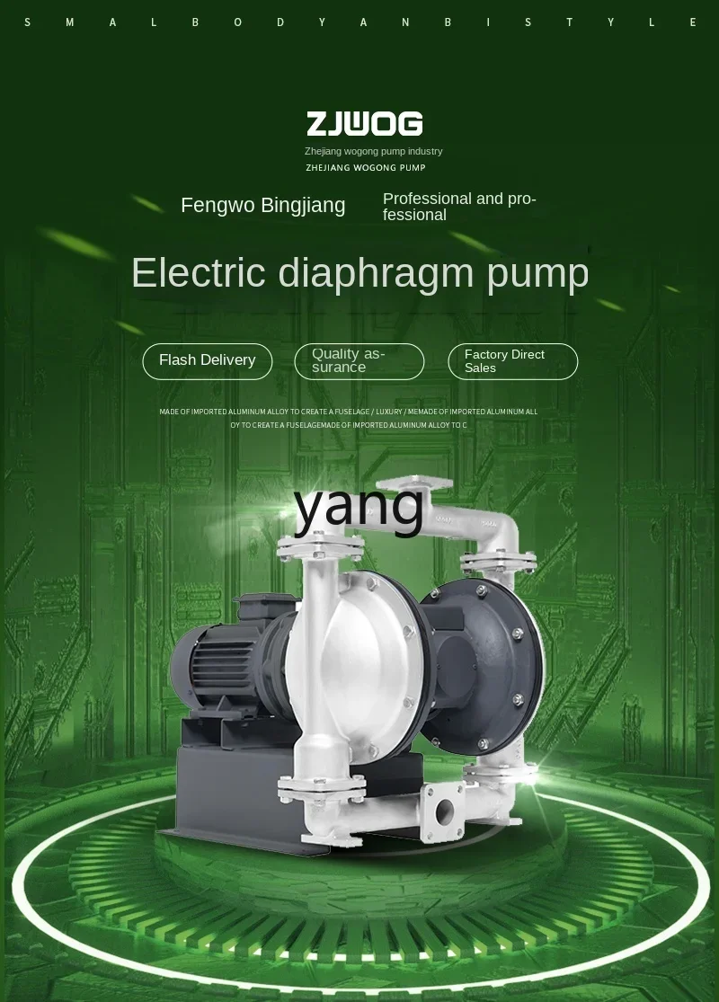 Bomba de agua eléctrica fluorada CXX Electric DBY-50/65 - imagen 3