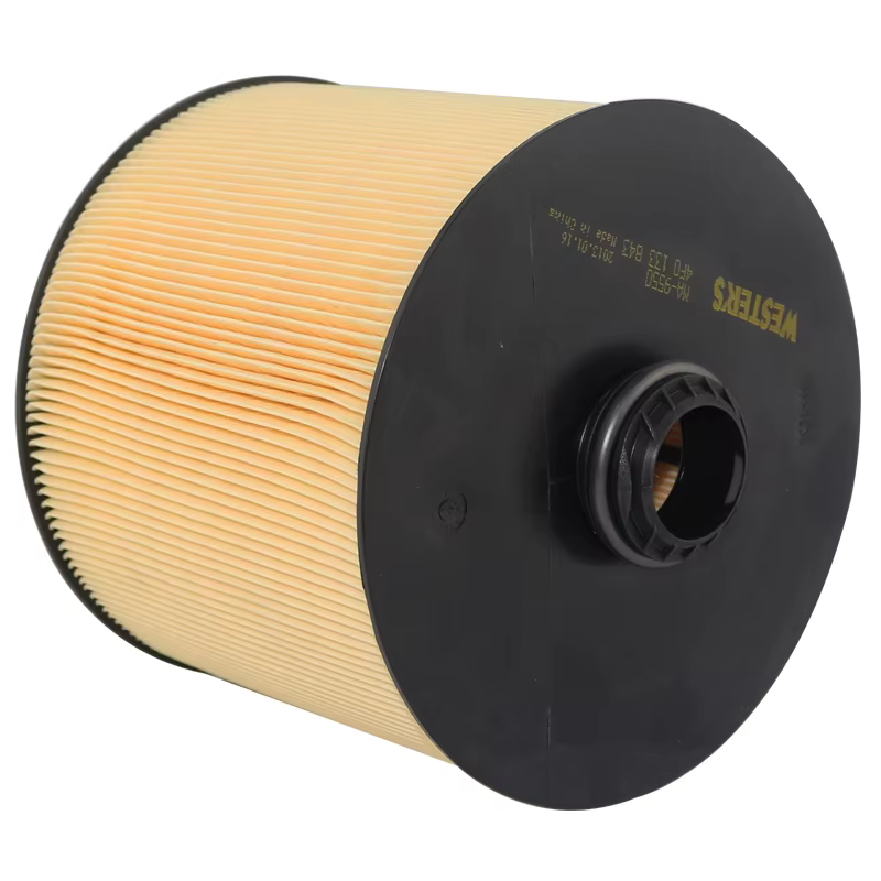 WESTGUARD MA9550 Filtro de aire para Audi A6 C6 - imagen 5