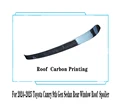 Roof Carbon Look