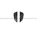 CARBON FIBER