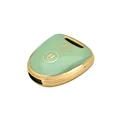 2button green cover