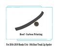 Roof Carbon Look