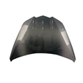 Carbon Fiber Hood