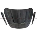 DRY CARBON FIBER
