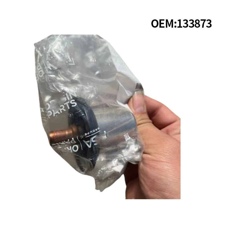 Termostato 133873 para Peugeot 407 607 807 Citroën C5 C6 X7 3.0 V6