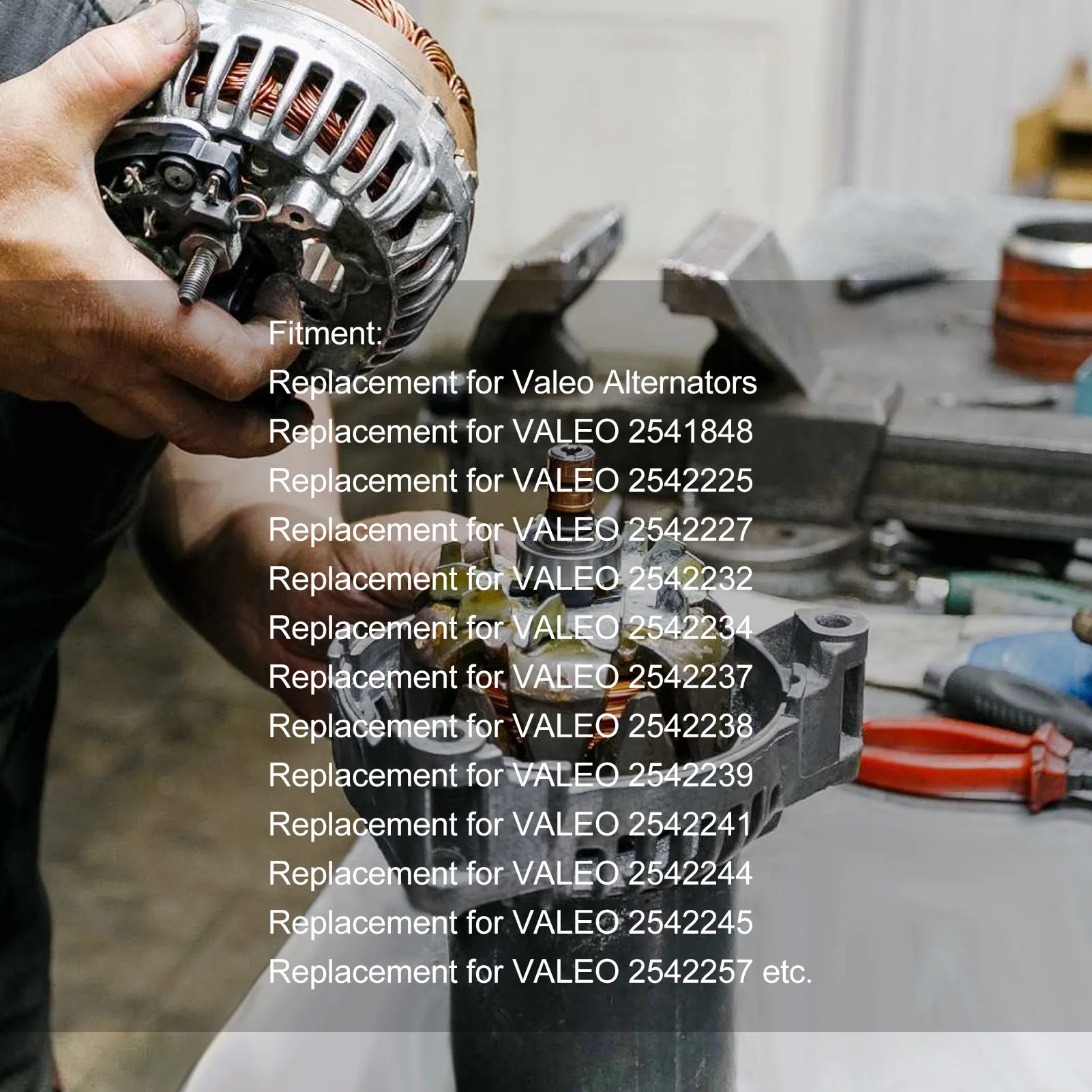 230090 Escobillas alternador – kit cepillos cobre - imagen 3