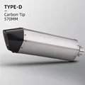 TYPE-D