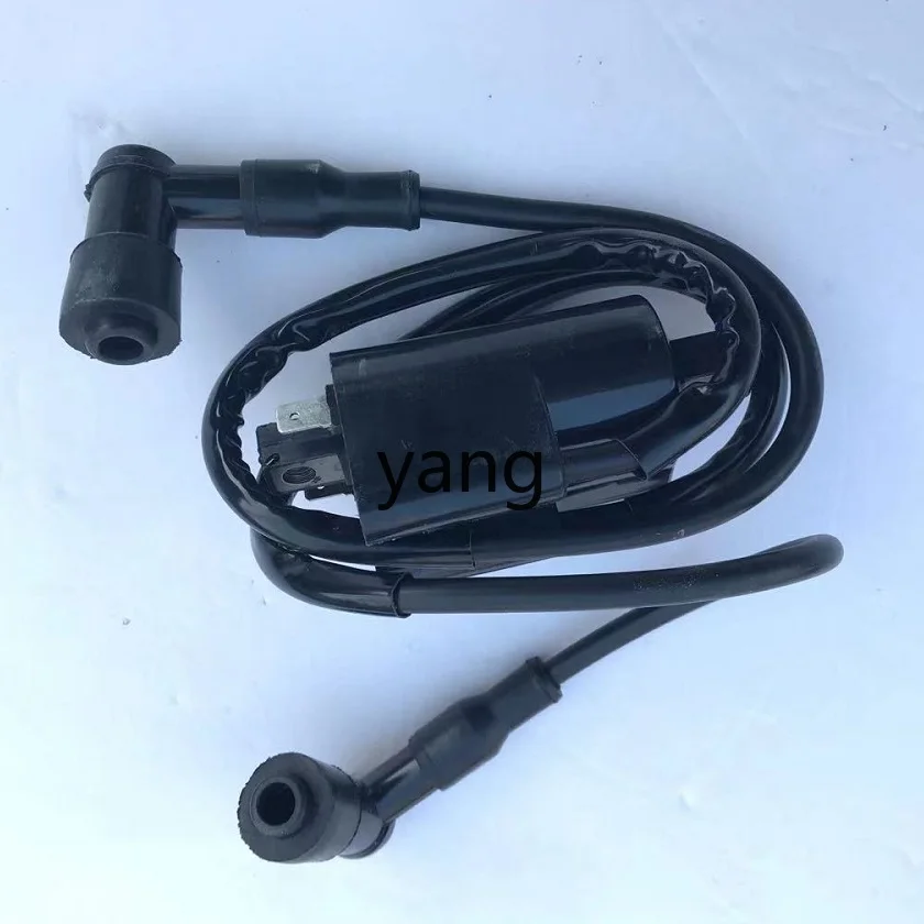 Bobina de encendido CX 12 V doble salida para Hailing Xiangjiang 750 - imagen 4