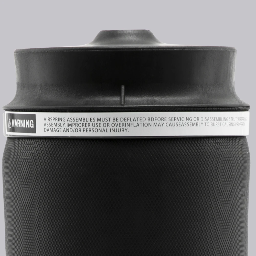 Bolsa suspensión neumática trasera Mercedes W164 ML350/ML550 Airmatic - imagen 5