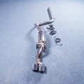 Silver tip