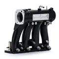 Type 2 Black