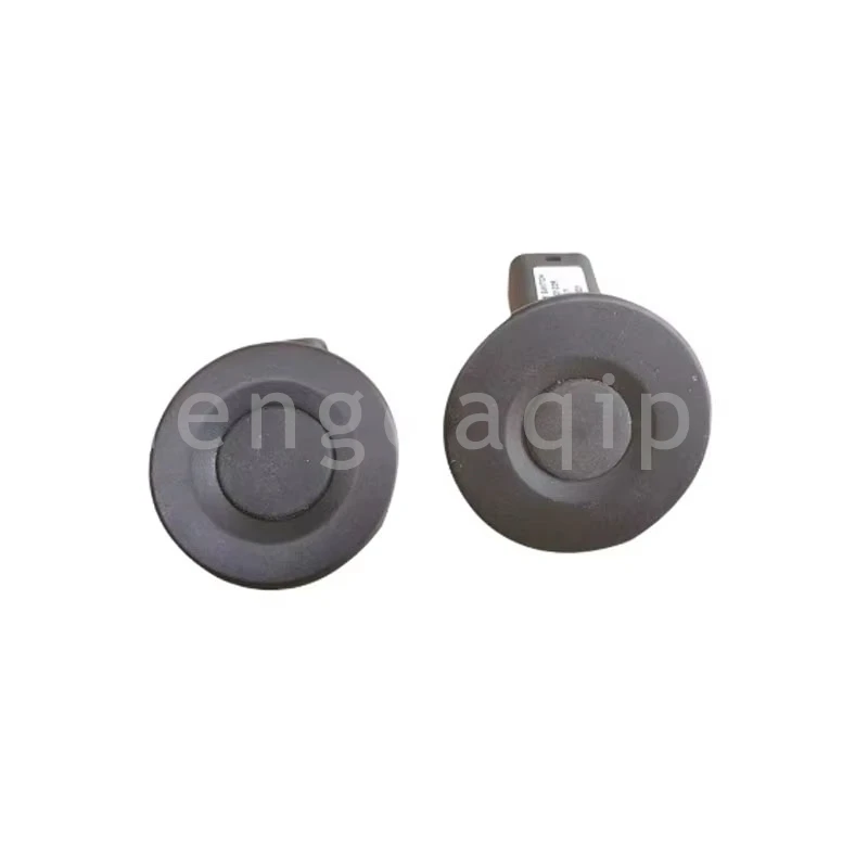 Detalle del botón microinterruptor de la manija trasera