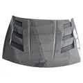 Carbon fiber