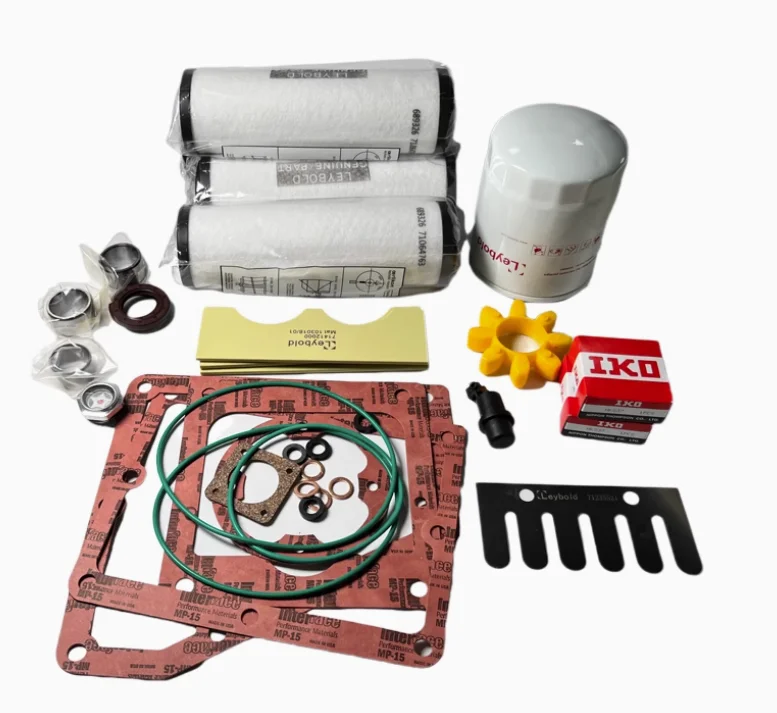 Kit reparación bomba de vacío Leybold SV200 – mantenimiento