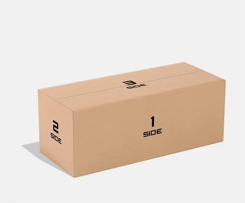 Caja y protección del sistema de escape