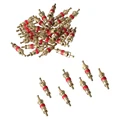 50 PCS