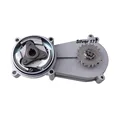Silver 17T