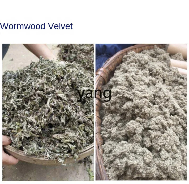 Molinillo multifuncional ultrafino CX para cereales, maíz y hierbas - imagen 2