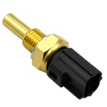 Gold  Black