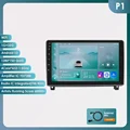 P1 (4Core 1G 32G)