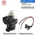 Valve and Plug