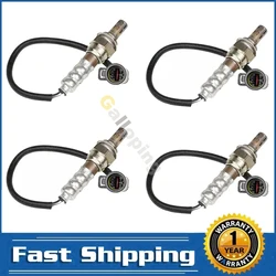 Sonda lambda Ford Expedition 4.6L 5.4L (1997-2004)