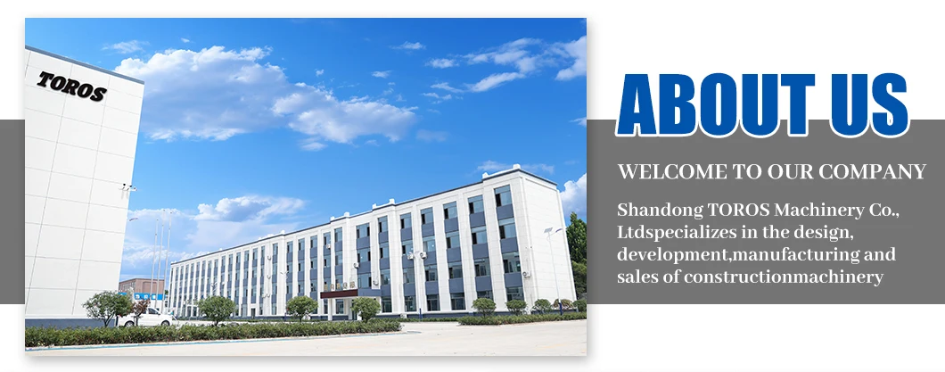 Miniexcavadora china