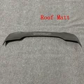 unpainted roof