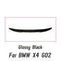 Glossy Black