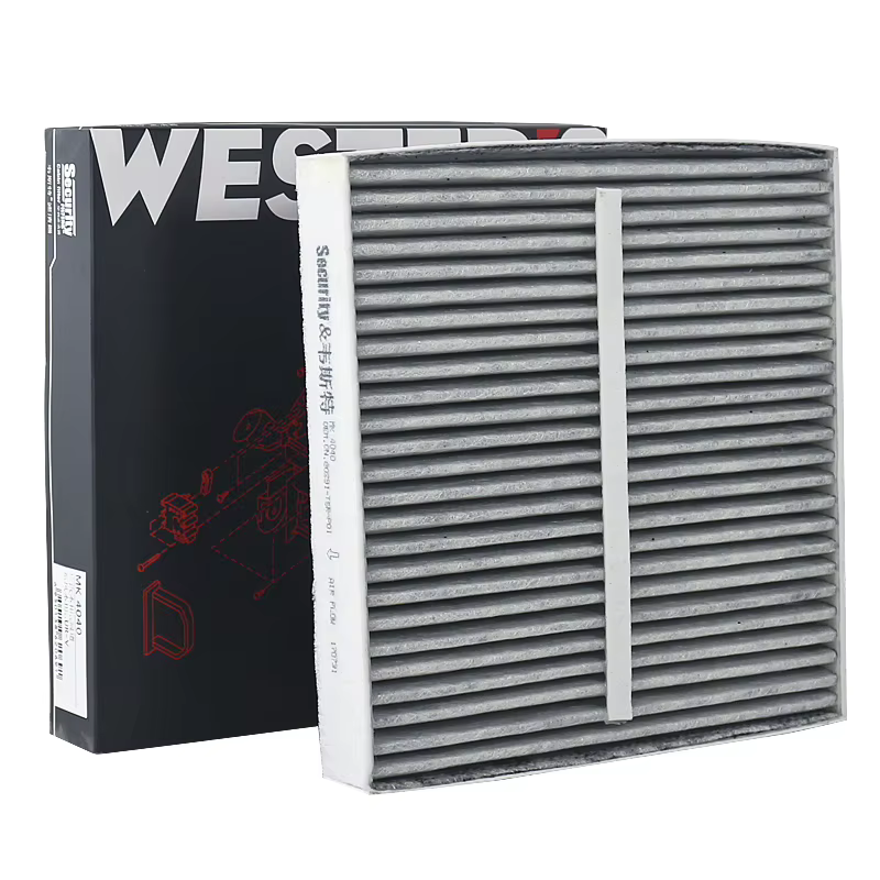 Filtro carbón Renault Vel Satis Laguna II – OEM 272779759R