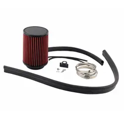 Filtro Admisión Escudo Térmico VW Golf 7 1.4 TSI EA211
