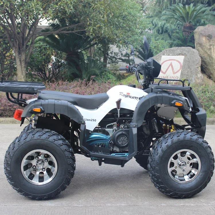 GY6 China ATV arranque eléctrico 4 tiempos Mini ATV Quad Bike 150CC/200CC - imagen 2