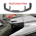 Roof Carbon Fiber