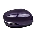 1PC Purple R
