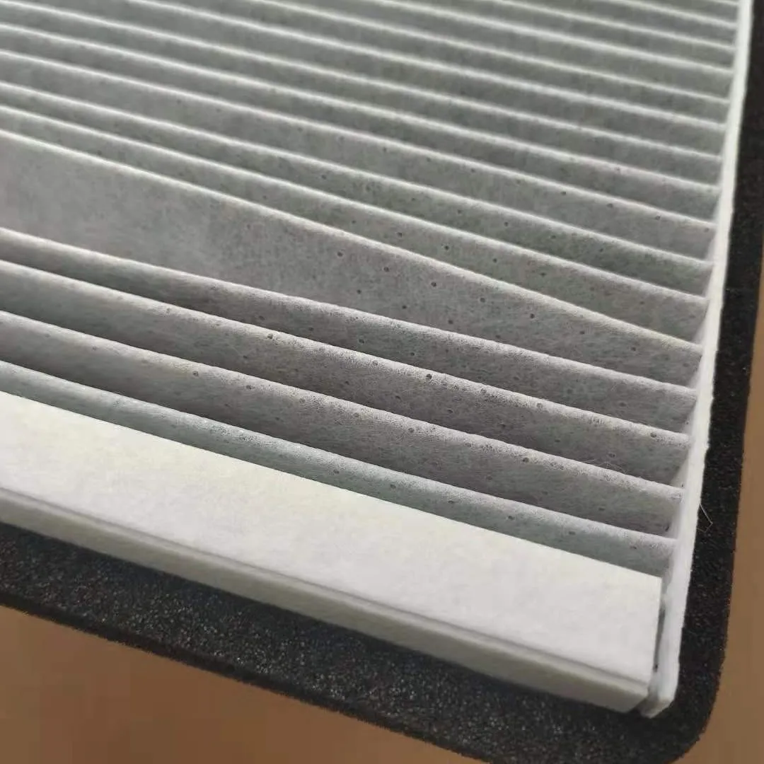 Filtro habitáculo carbono BMW X5 E53 – 3.0 4.4 4.6 4.8 - imagen 3